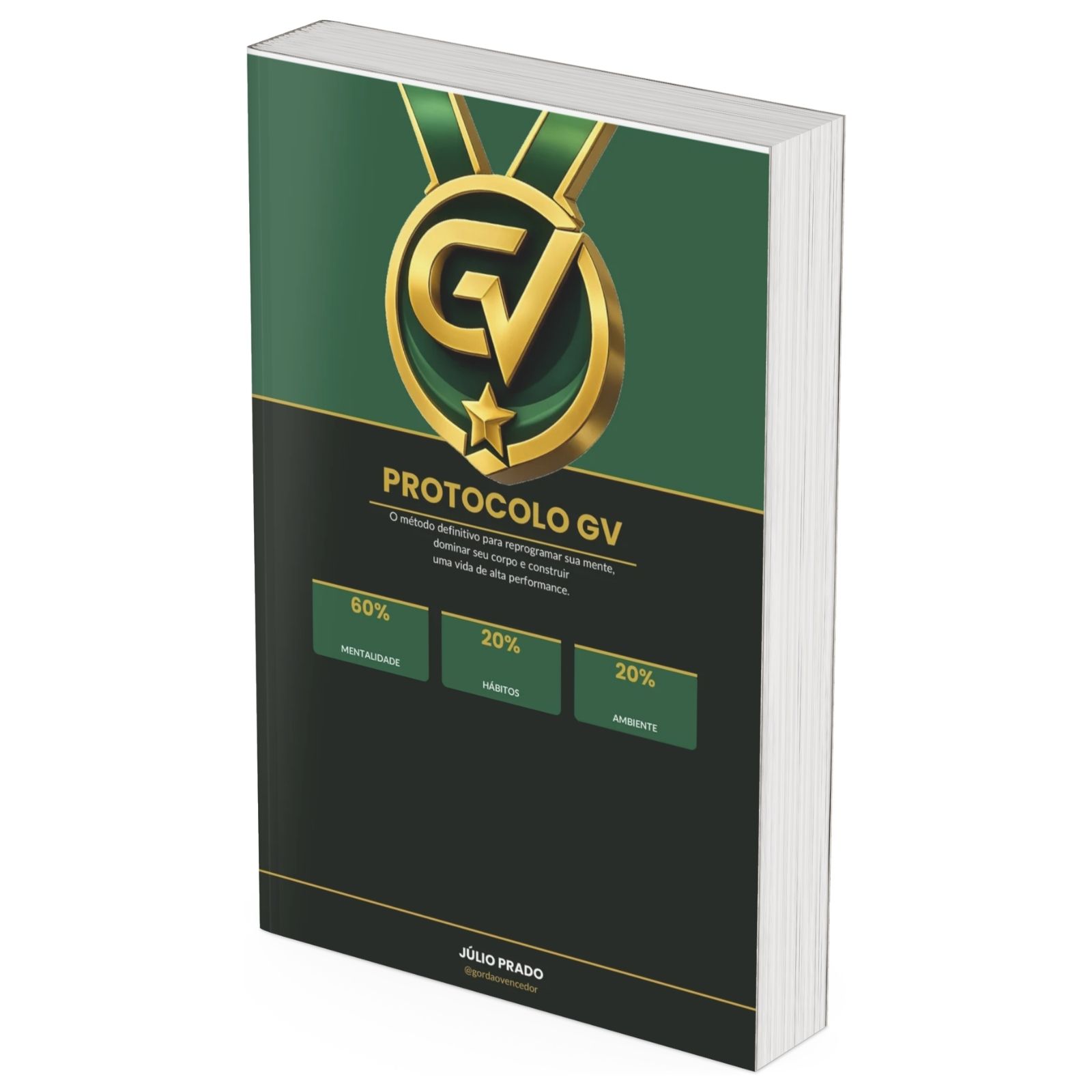 Capa do e-book Protocolo GV